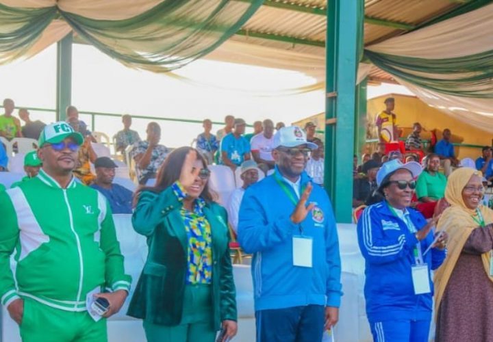 nigeria school sports federation